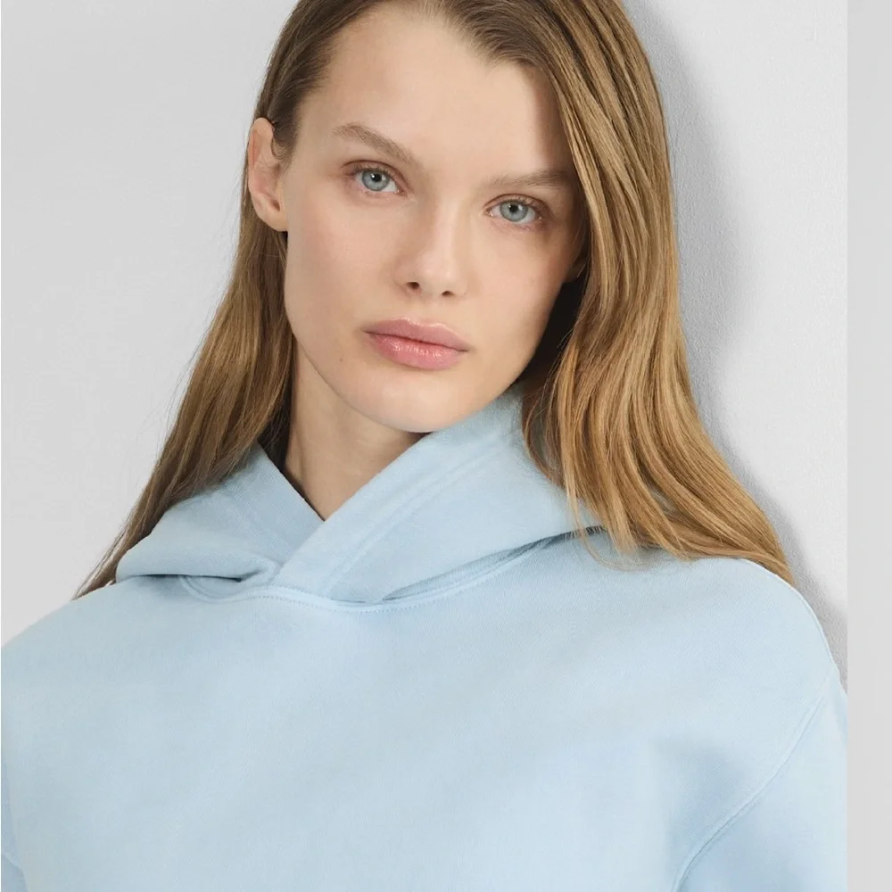 Aritzia Sky Blue Hoodie - Picture 3 of 9